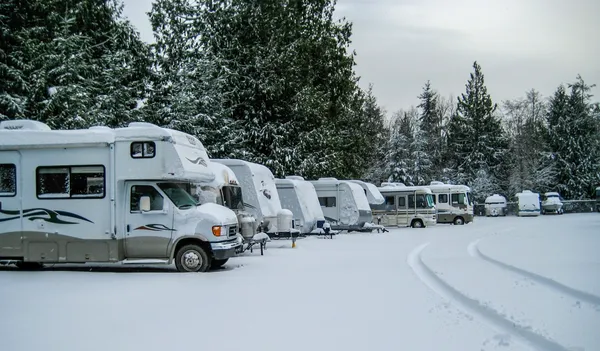 RVs and travel trailers covered in snow stored in a lot with evergreen trees in the background.